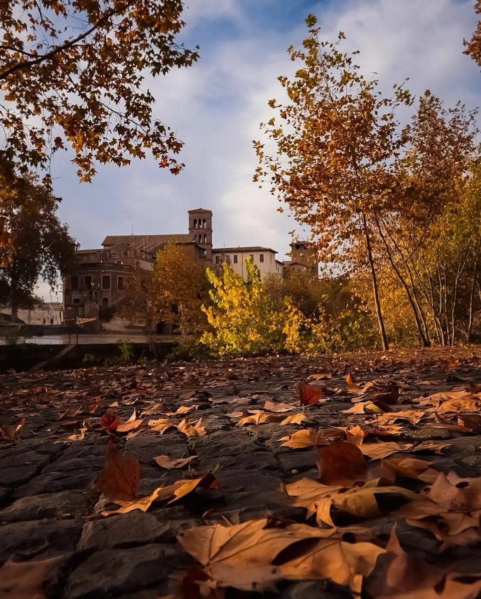 visit_lazio's tweet photo. Un tappeto di foglie in terra e i classici colori dell'autunno fanno da cornice all'Isola Tiberina. Uno scatto incantevole nel cuore di Roma.

📸 komorebi_81 

#IsolaTiberina #Roma #FaiUnSaltoNelLazio #RiparTIAMOlazio #LazioIsMe https://t.co/jgdPMxcR1U
