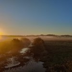 Photo by Eugene, OR Updates (@RedditEugene)