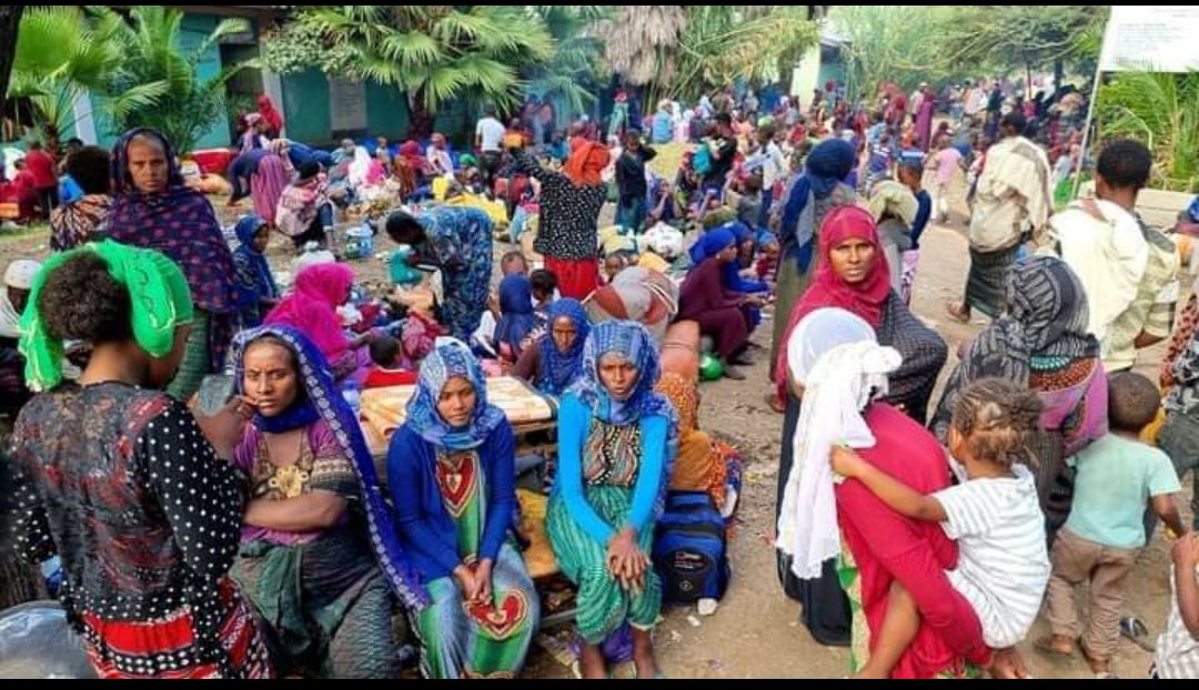 Mohas0's tweet photo. የወሎ ህዝብ በወያኔ ወረራ ምክኒያትና በመንግስት ቸልተኝነት በአዲስ መንግስትና በአዲስ ምእራፍ ስር እጣ ፈንታው ይሄ ሆኗል!!!!

ያሳዝናል ያሳፍራልም!!! https://t.co/Gg3QBkwlIL