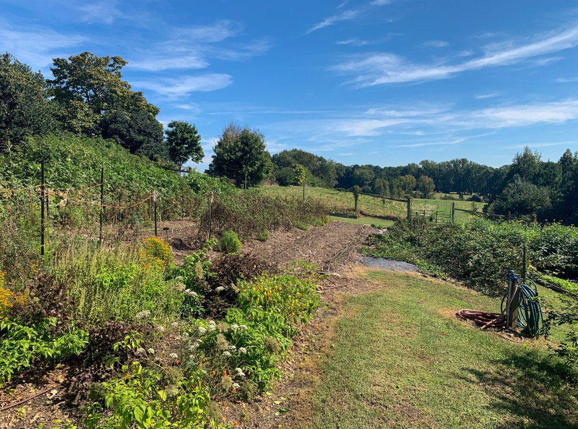 sevenagesdesign's tweet photo. Thank you to the @heronsnc team for showing us around One Oak Farm yesterday! We loved learning about sustainable farming and tasting all the homegrown ingredients! https://t.co/KkCfneTUVO