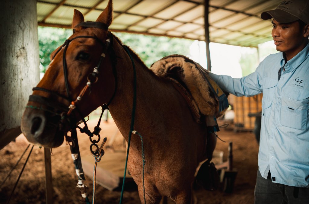 Did you know?

✅Our operations are fully compliant to the highest ESG standards
✅Environmentally, we rely on naturally grown grass and only use natural water sources 
✅Our free-range animals feed only on natural grass off the ground

#LaPraderaRanch #CattleRanchAsset