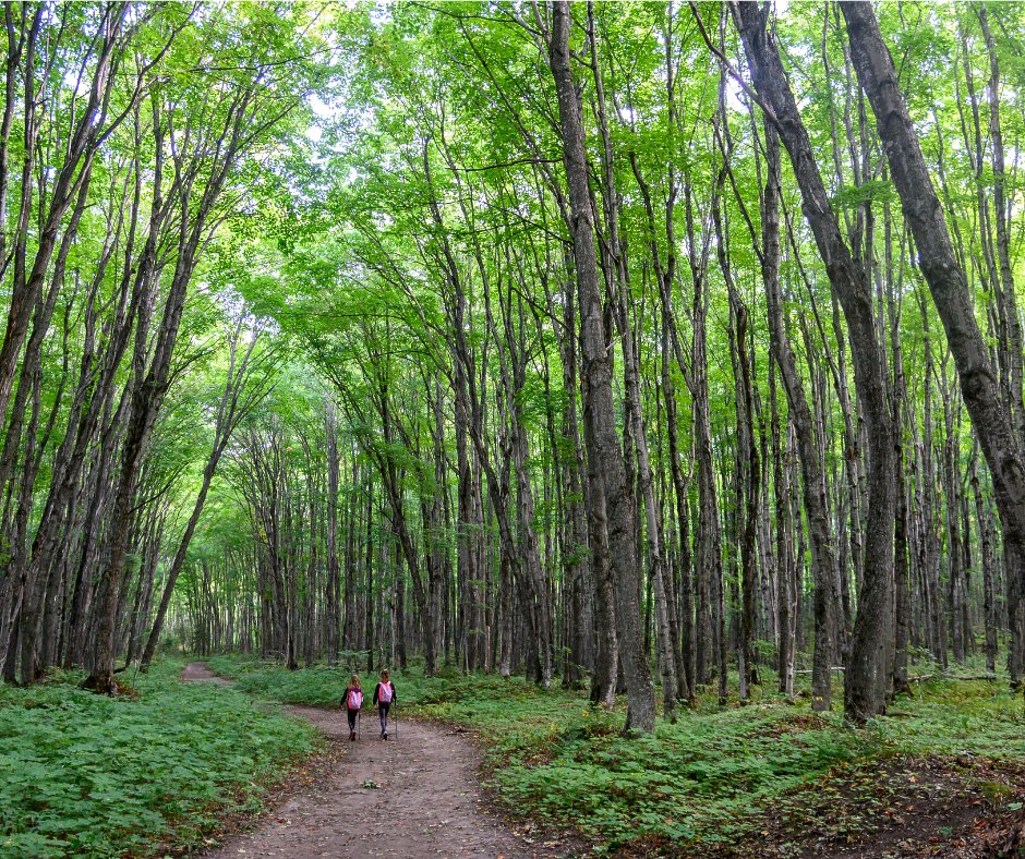 What does your weekend look like?  I think some nice long hikes into this National Park can do the trick.  

We had no idea Michigan can look like this.  
#puremichigan