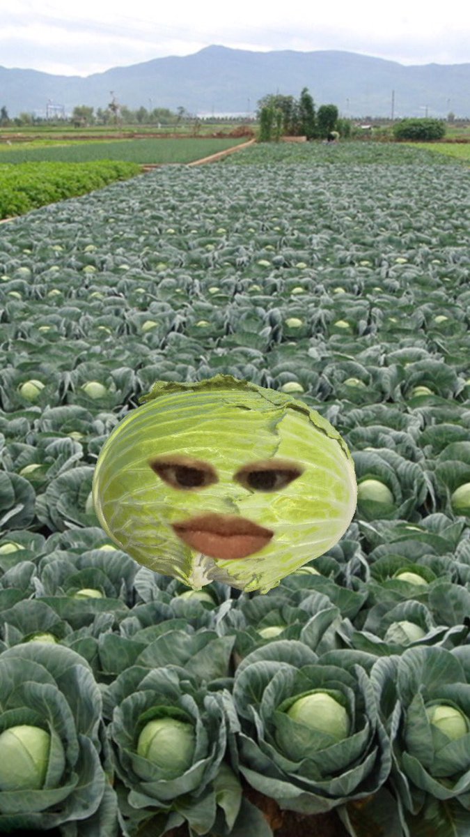 naajzrp's tweet photo. ohmygoshz!... duntz chu knaur oim a c@bbag£💅🏻😝💓😱😘💞✋🏻💘💗🔥😅😏😍😟😎 #puurrr #savage #aespa #stream #cabbage #fyp https://t.co/MaGtyreUYf