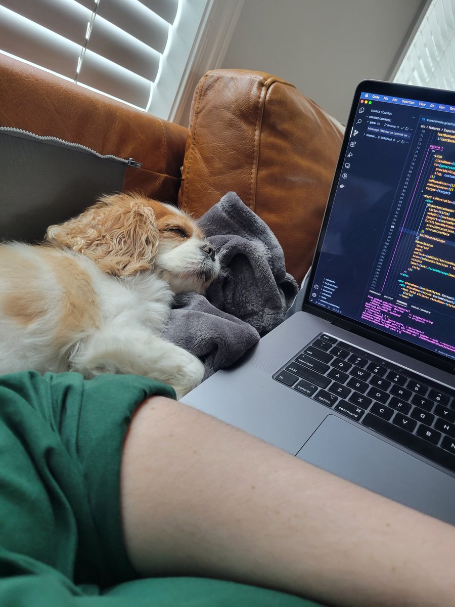 yep i'm never going back to the office