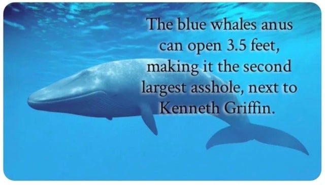 Josh Hamilton - Writing A Book About GameStop tweet media