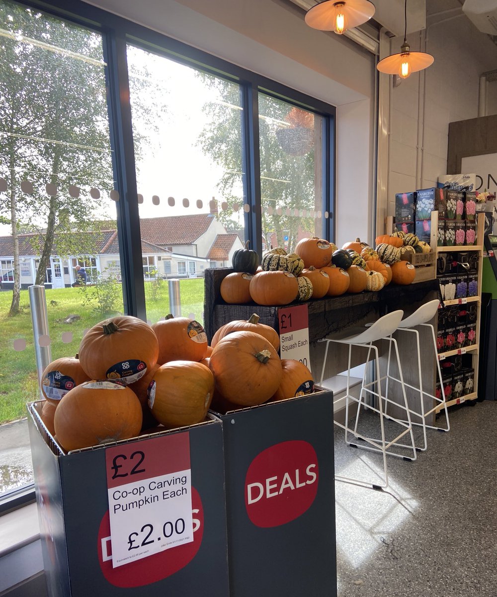 Brad Tuckfield tweet media