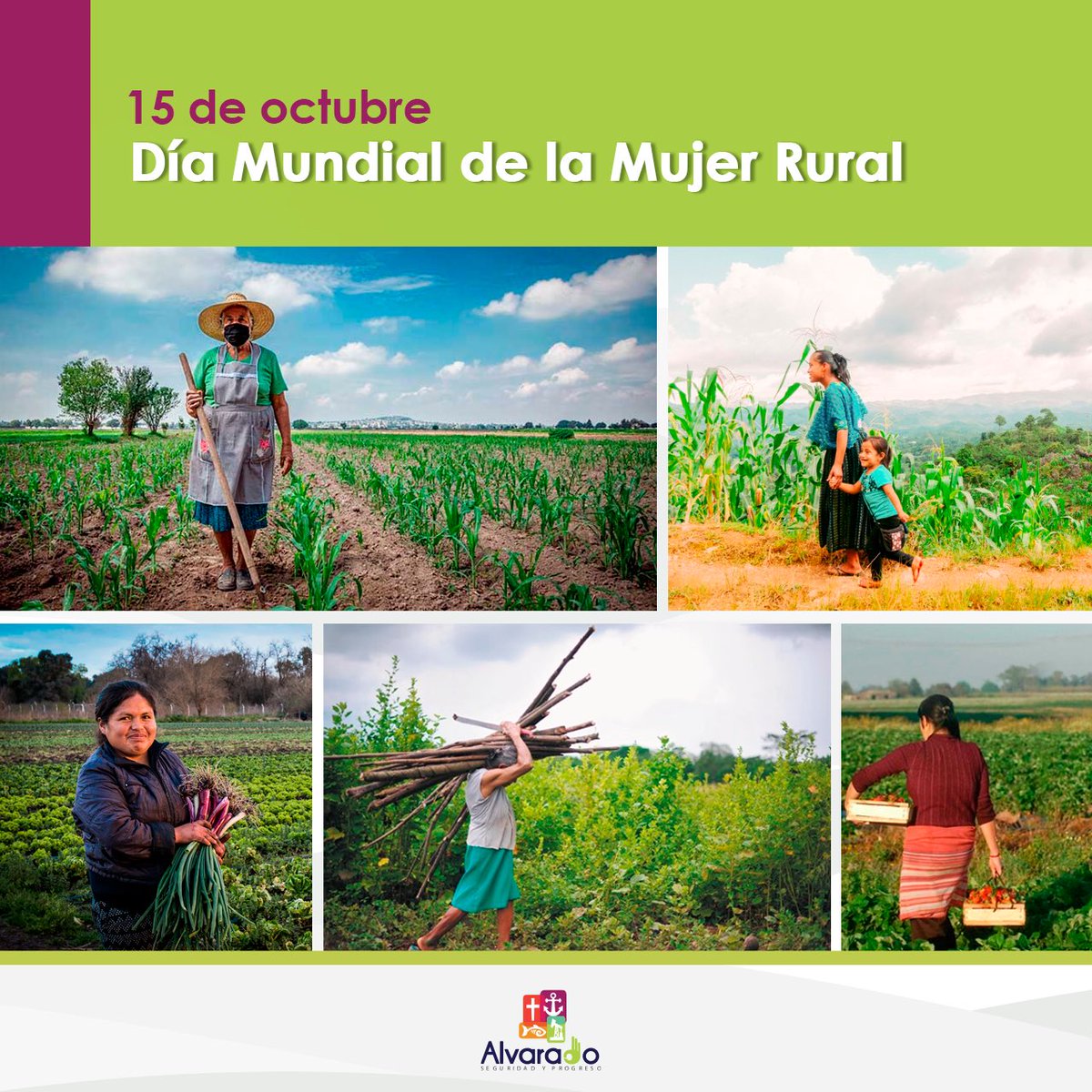 imprentaeditxa's tweet photo. Las mujeres rurales juegan un rol fundamental en nuestra sociedad.
Garantizar y promover sus derechos es un compromiso ineludible.
#Alvarado
#SeguridadYProgreso https://t.co/gH0A0hk2PU