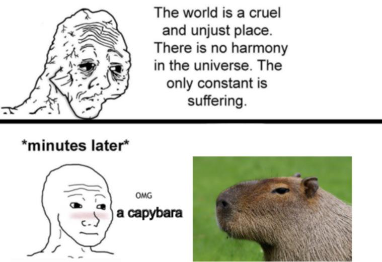 WholesomeHL's tweet image. 