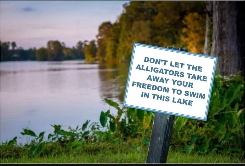 halifax man (@lexisfriend) on Twitter photo 