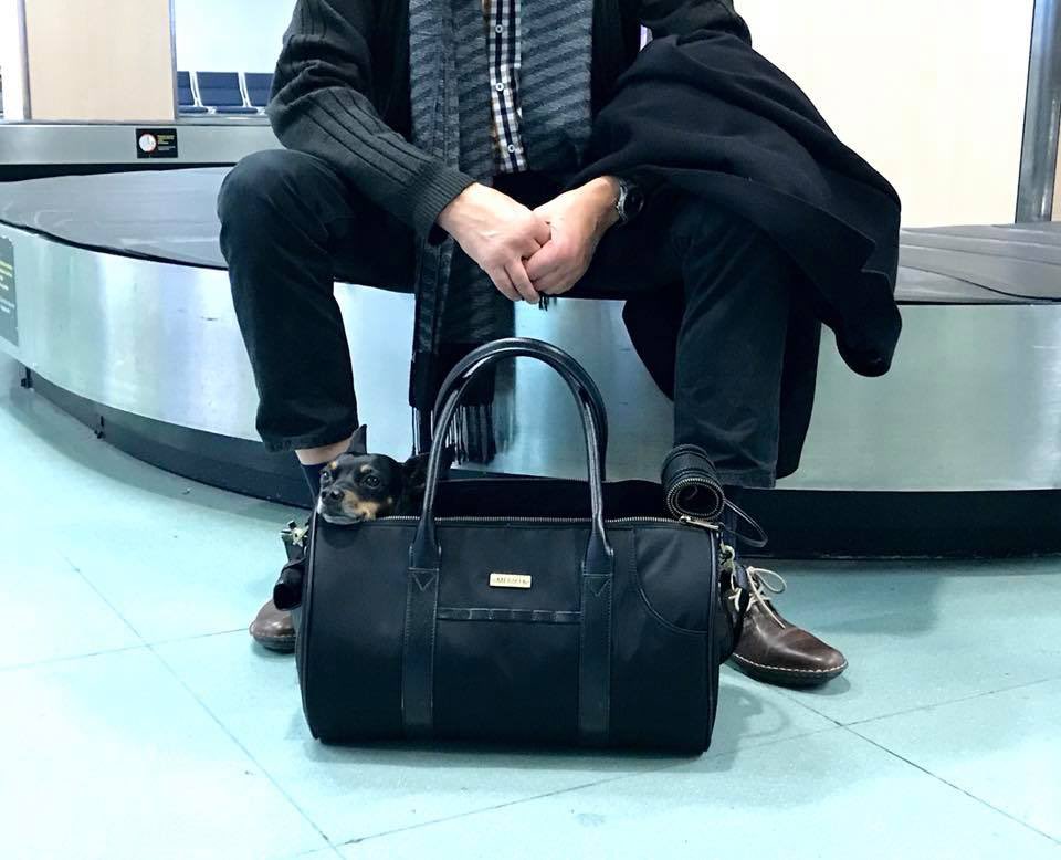 MERIKHbags's tweet photo. Back to original prices from Monday.
NEW collection almost in store... Pre-sale prices valid this week.
#MERIKHbags #lifestyle #multifunction #timelessdesign #petcarrier #multifunctionalbag
https://t.co/RT3qFrLOC4
 
#newcollection #presale #style #trending #newbag #newaccessories https://t.co/CMjivwvPH2