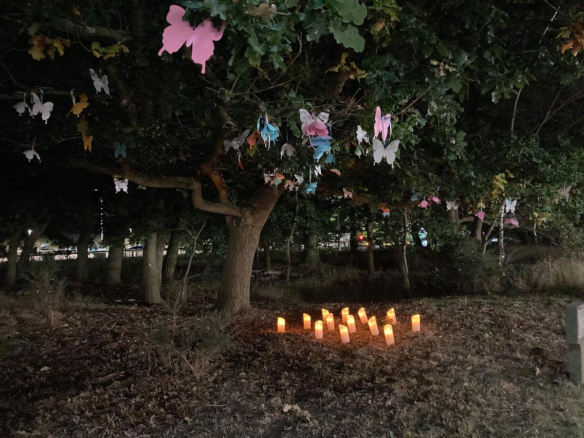 QEHMaternity's tweet photo. #BLAW 
Our beautiful tree in memory of all babies gone too soon #waveoflight https://t.co/RAbgutFyZL