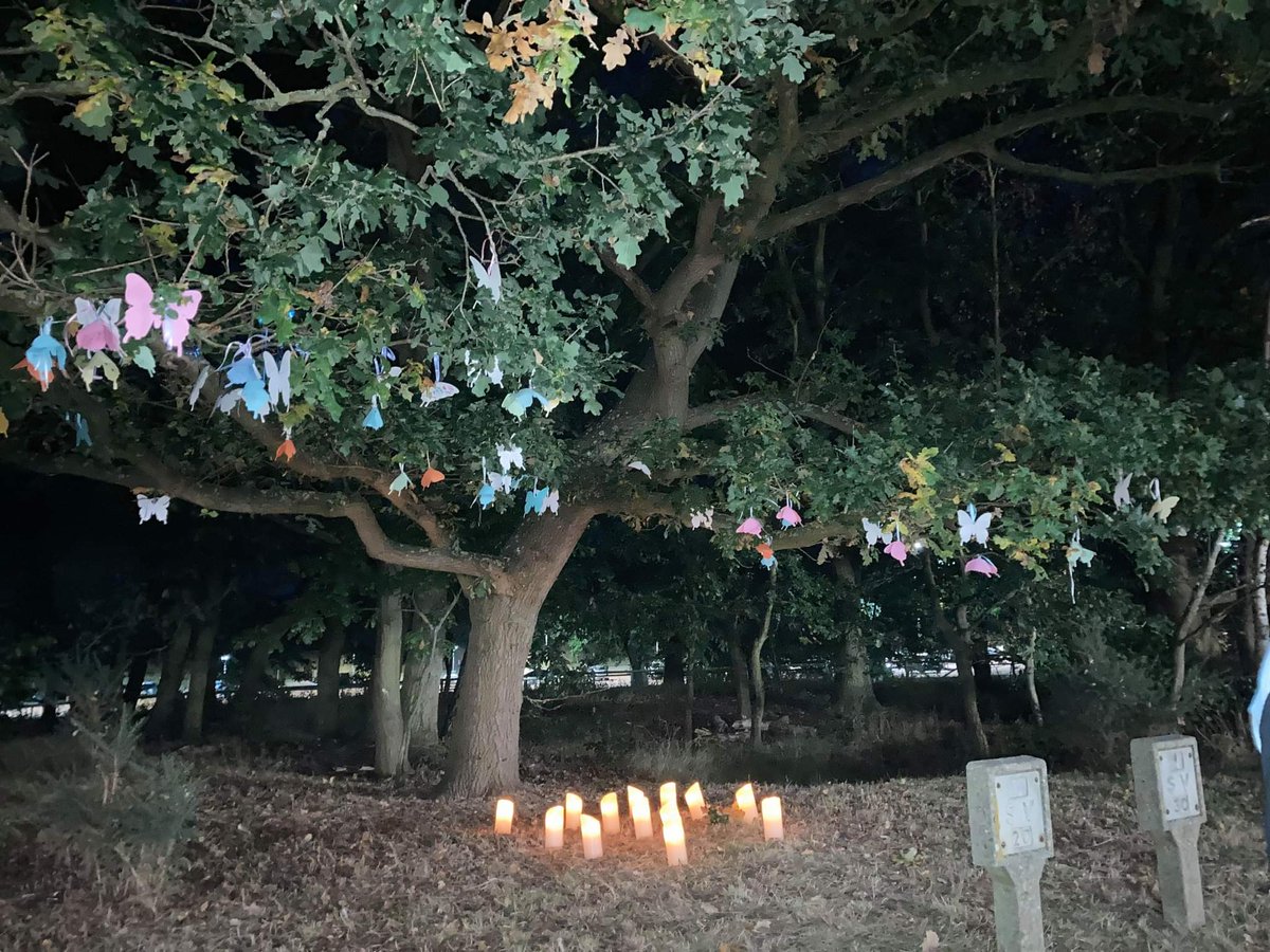 QEHMaternity's tweet photo. #BLAW 
Our beautiful tree in memory of all babies gone too soon #waveoflight https://t.co/RAbgutFyZL
