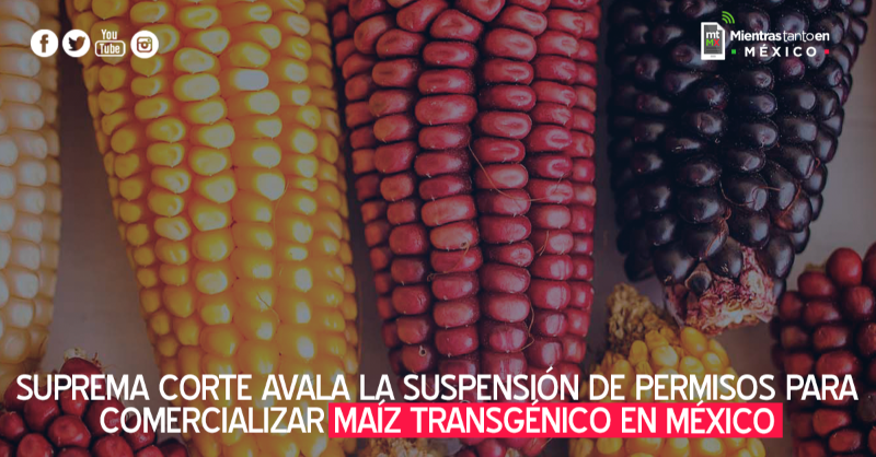 MT_enMEXICO tweet media