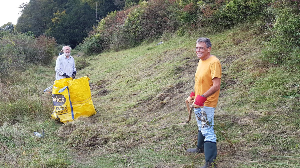 BillDowney8's tweet photo. @BC_Surrey back out in the field today at Denbies. De-scrubbing a sheltered, south facing bank where the Horseshoe Vetch was being shaded out. Let's hope butterflies appreciate in 2022. https://t.co/kelDQdnArA