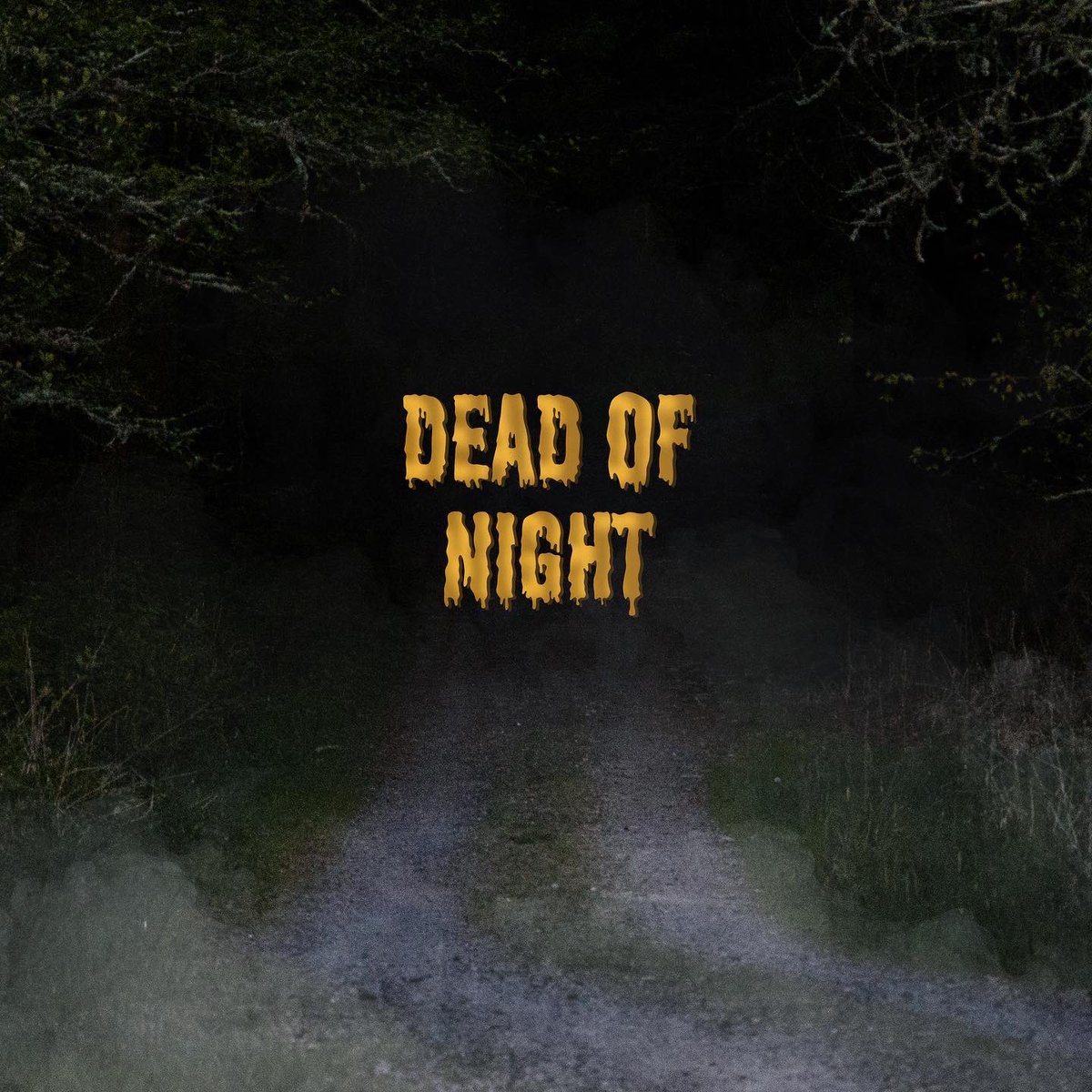 sinisphere's tweet image. ‘Dead Of Night’ is out now!
SoundCloud link in bio
Coming to other streaming services very soon🤍