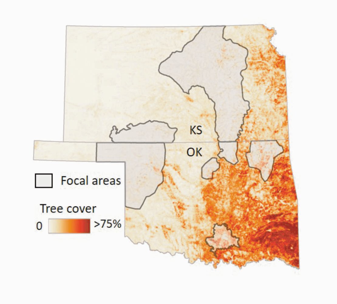 Take a look at this map. Notice how the focal areas where we are targeting woody species encroachment aren't where tree cover is the most severe. When we target these "cores," our conservation $ goes farther and we make more a difference. Protect the Core, Grow the Core.