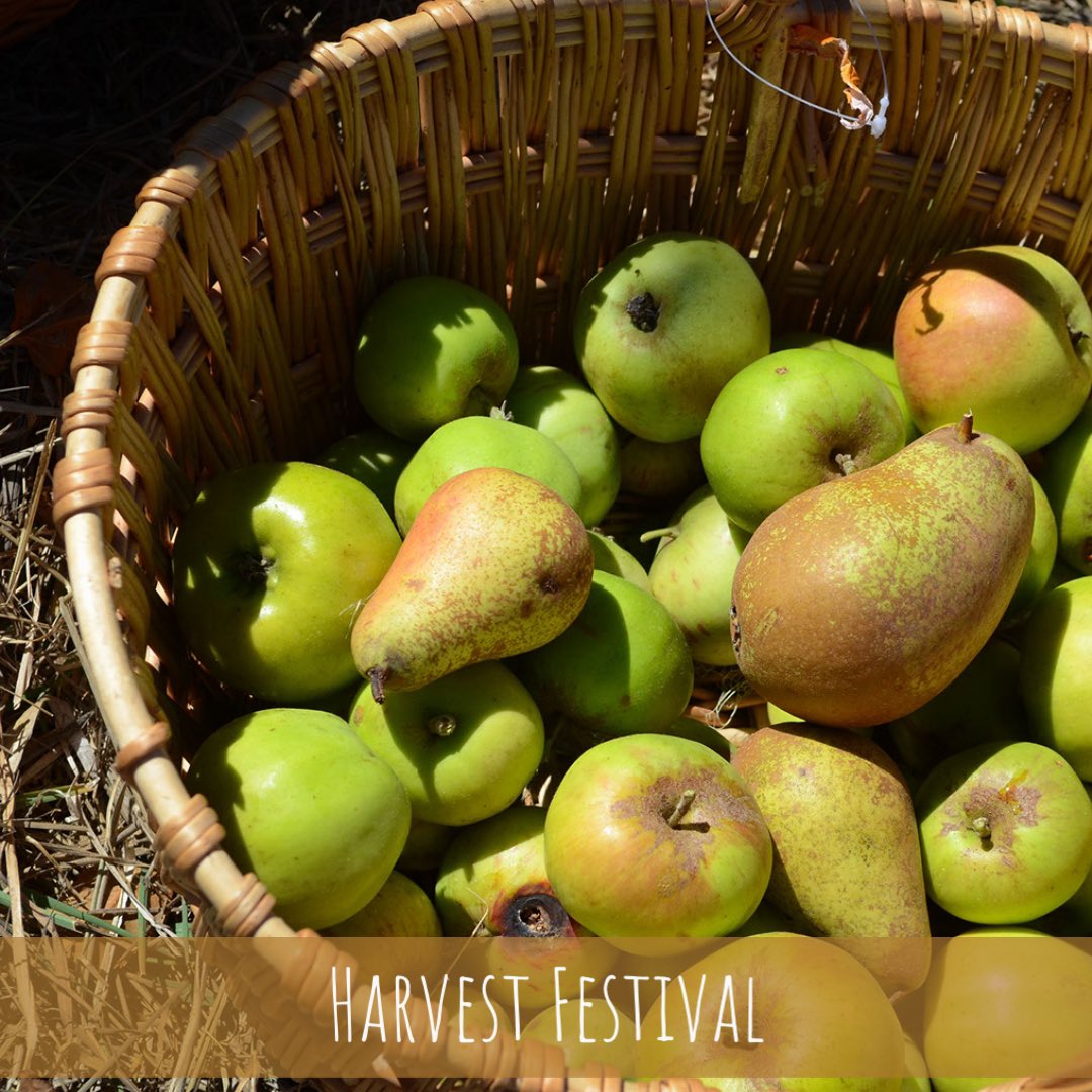 Bring a bag for your “You Pick” apples and pears. It’s not every day you get to harvest fruit from a historic orchard! #VisitFortRoss

See you there tomorrow! 

#westsonomacounty #westcounty #youpick #harvest #thisweekend #tomorrow #fortrossstatehistoricpark