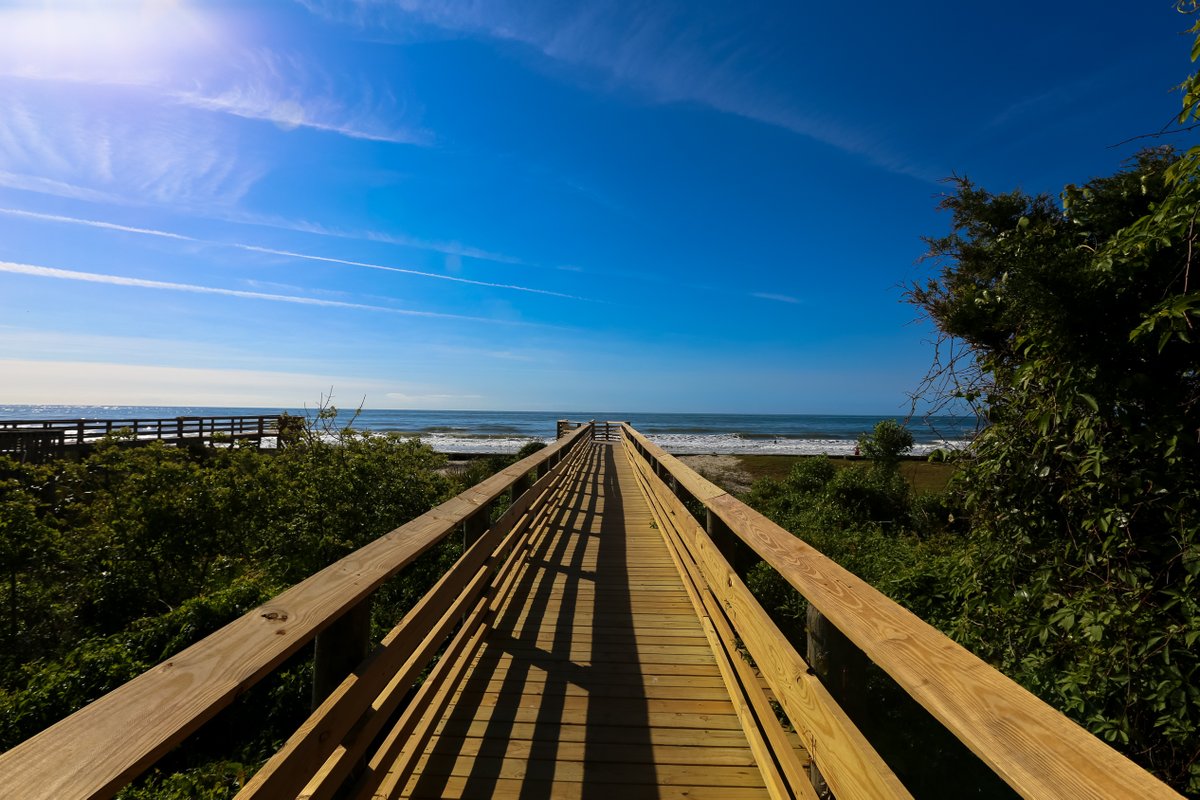 Charleston & Hilton Head Beaches tweet media