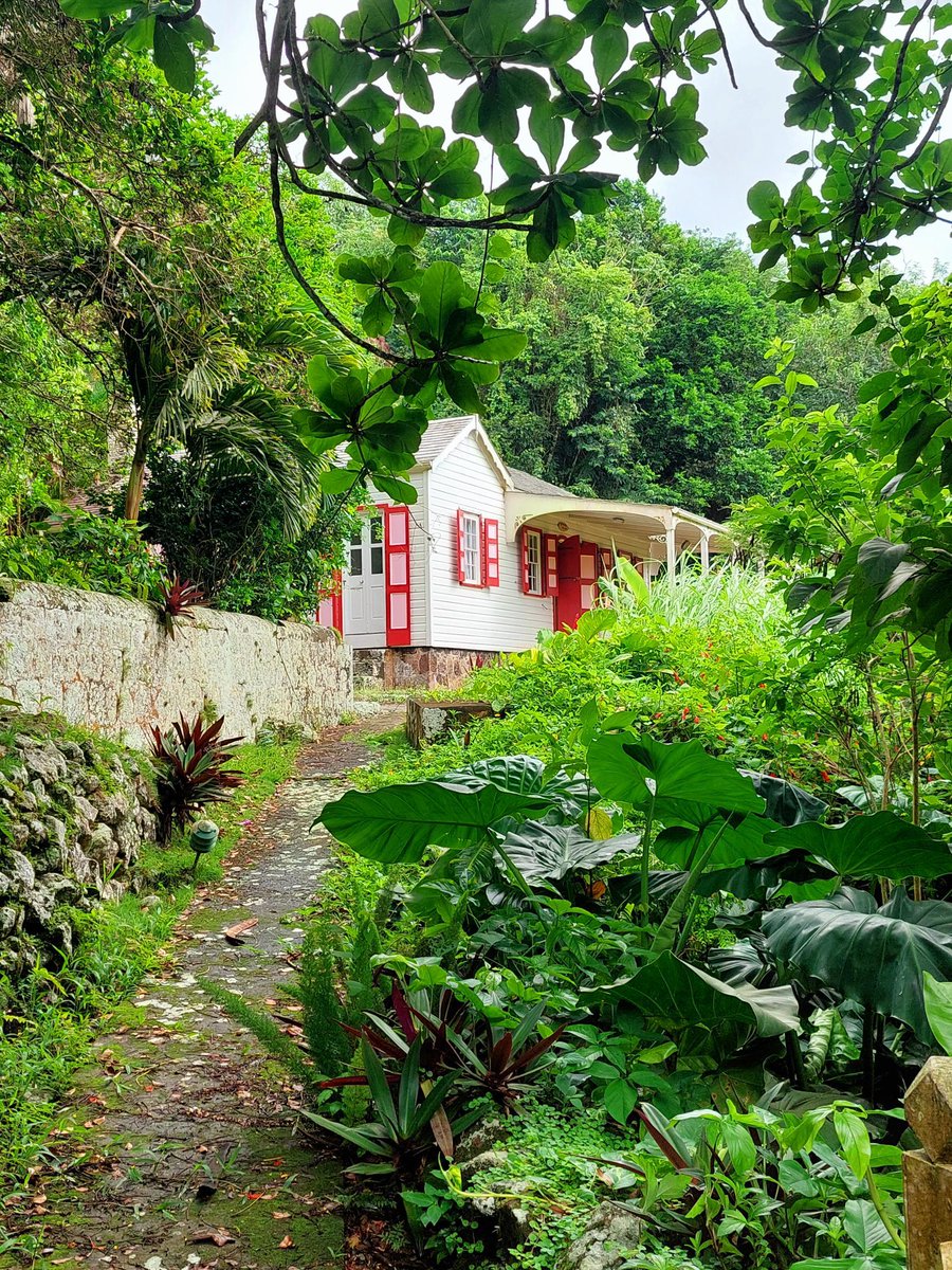 Saba fairytale cottages..... unique and enchanting❤️ 
sabatouirsm.com