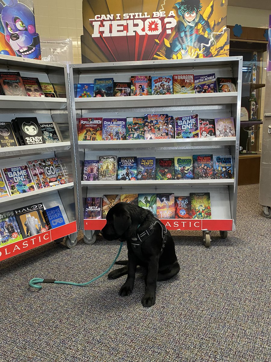 MMSLibraryMedia's tweet image. Today was the last day of our Book Fair and we had a special visitor stop by to take one last look! A huge thank you to all the students, faculty, and of course, Marty, for stopping by and supporting our school!