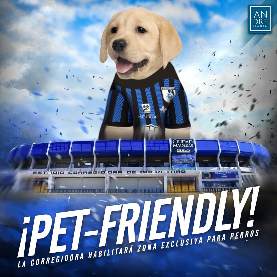 SoyPauMorita's tweet photo. @Club_Queretaro abrirá una zona exclusiva para que disfrutes el partido junto a tu perrito 🐶 ‘La Corregidora’ se vuelve el primer estadio #perfriendly en México. https://t.co/ORfat0ZqUW
