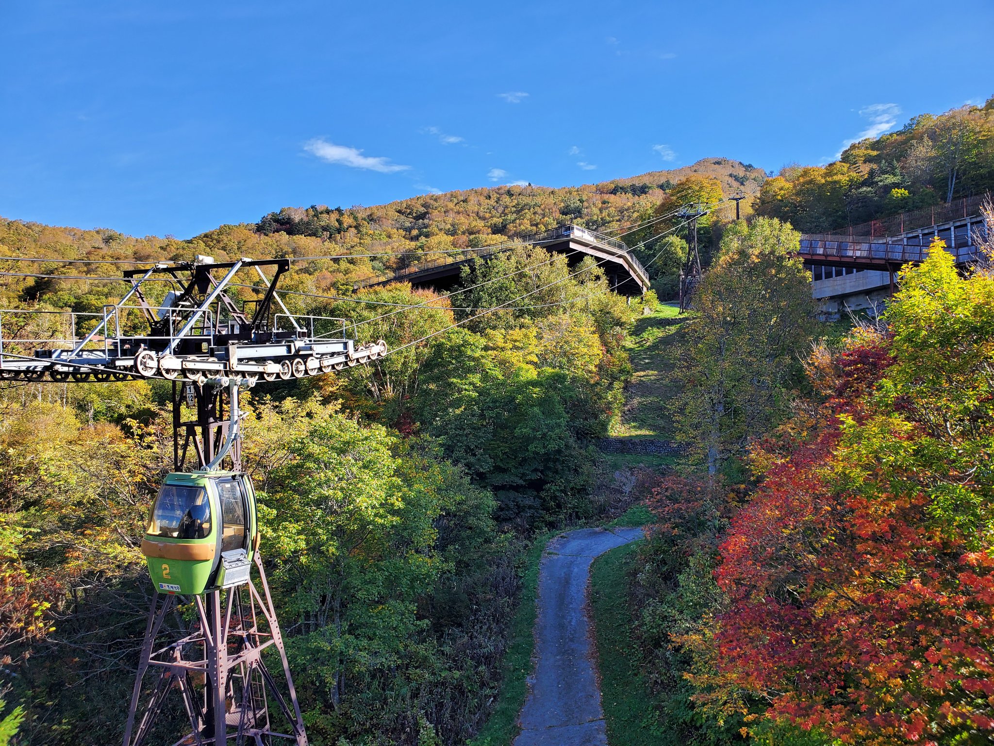 東館山高山植物園公式 Higashitate Fwg Twitter