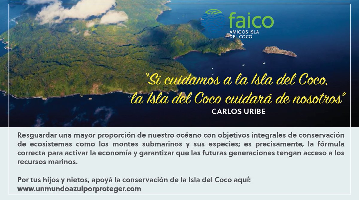 Isladelcoco's tweet photo. Por tus hijos y nietos, apoyá la conservación de la Isla del Coco aquí: https://t.co/AzNFnmgEu6
#IsladelCoco #Conservacionmarina #Cocosislandnationalpark #Costarica #Cocosisland #Faico #ParqueNacionalIsladelCoco #unmundoazulporproteger https://t.co/I2YsQVKZdC