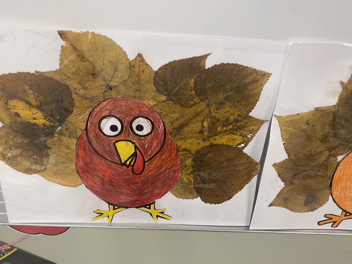 FFCA--NEE Campus tweet media