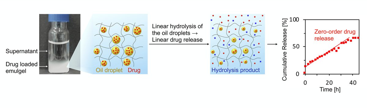 J Controlled Release (@jcrneditors) on Twitter photo Emulsions of hydrolyzable oils for the zero-order release of hydrophobic drugs.
| Job Boekhoven <a href="/TU_Muenchen/">TU München</a> | <a href="/BoekhovenLab/">Job Boekhoven</a> @CRS_GermanChapt
#hydrogel #sustainedrelease #emulgel
doi.org/10.1016/j.jcon… Emulsions of hydrolyzable oils for the zero-order release of hydrophobic drugs.
| Job Boekhoven <a href="/TU_Muenchen/">TU München</a> | <a href="/BoekhovenLab/">Job Boekhoven</a> @CRS_GermanChapt
#hydrogel #sustainedrelease #emulgel
doi.org/10.1016/j.jcon…