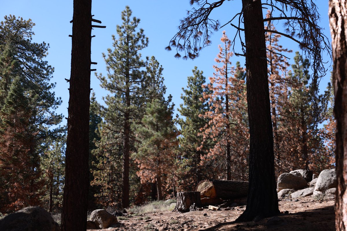 bermanjosh's tweet photo. Hike at #BluffLake. #bigbear #adventure #MotherNature #quiet https://t.co/34k5R9tduD