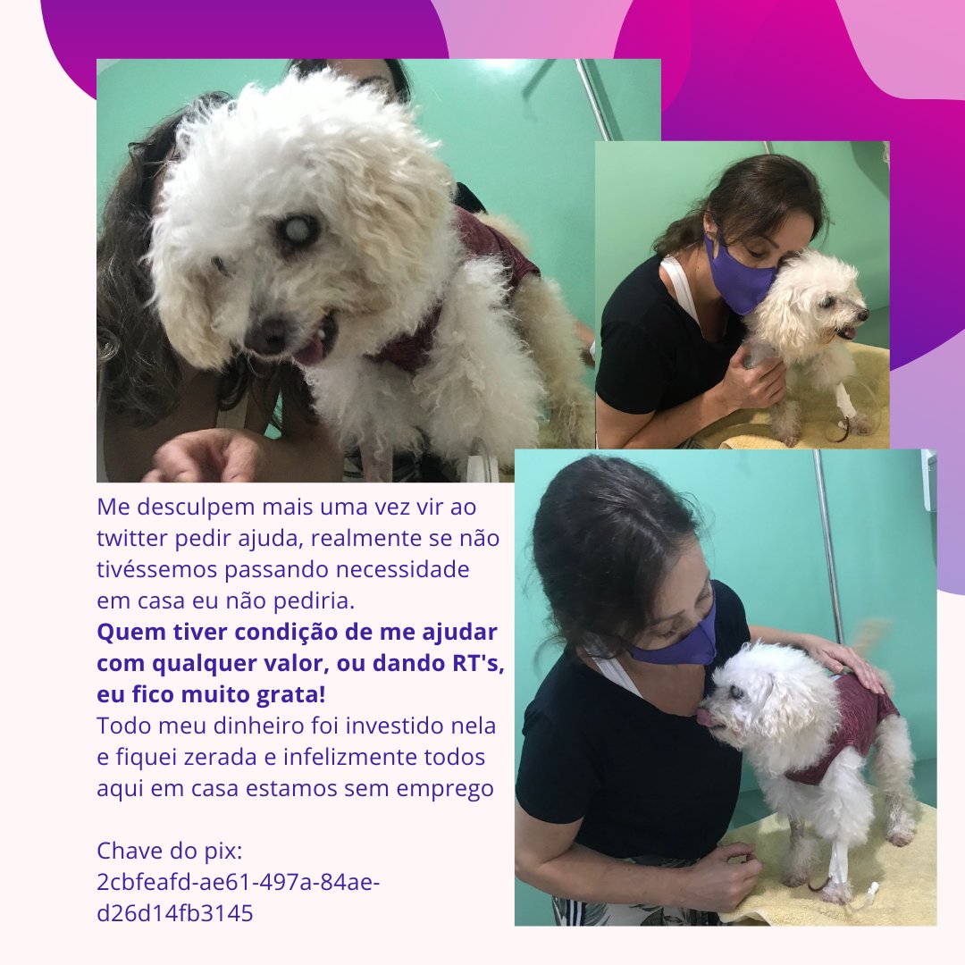 Como tinha dito o custo da internação foi algo que me assustou hoje, quando me falaram que os remédios eram a parte eu pensei realmente que era apenas os remédios, mas não foi. Detalhe essa internação foi do dia 14 ao dia 15, ela vai ficar amanhã internada tb o preço vai aumentar