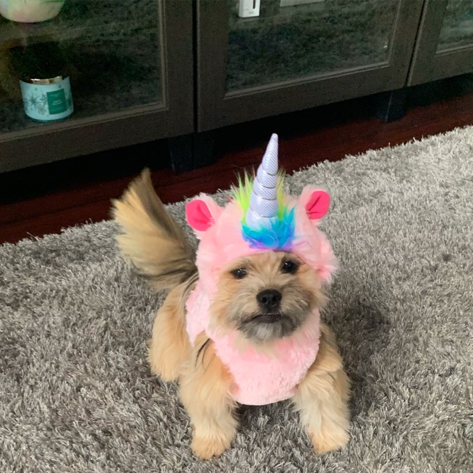 ME! https://t.co/ZGaBVETUmt