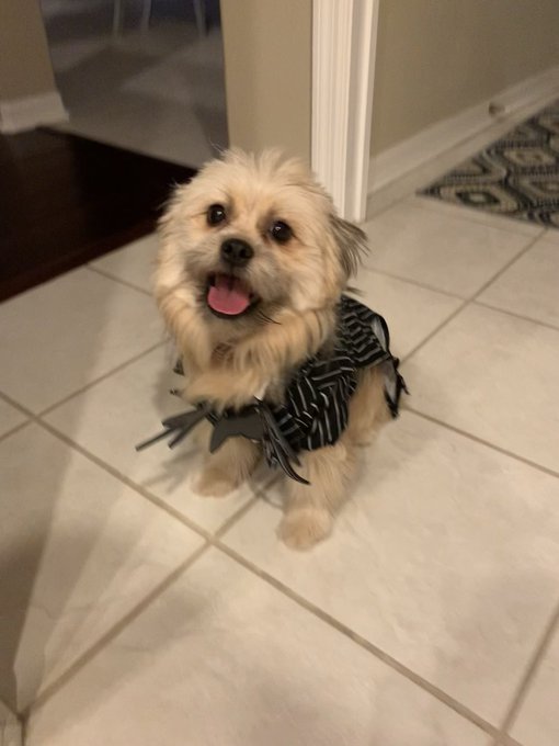 ME! https://t.co/ZGaBVETUmt