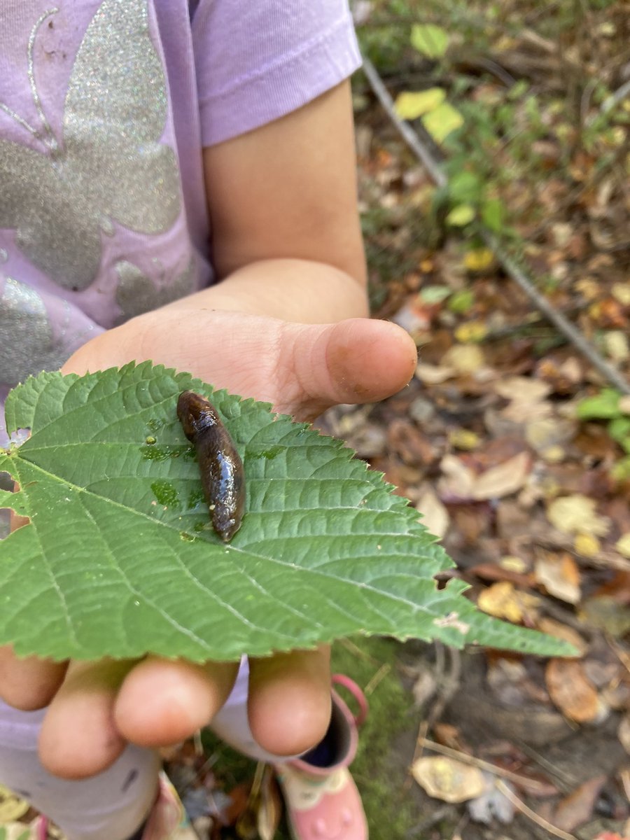 MissVictoria tweet media