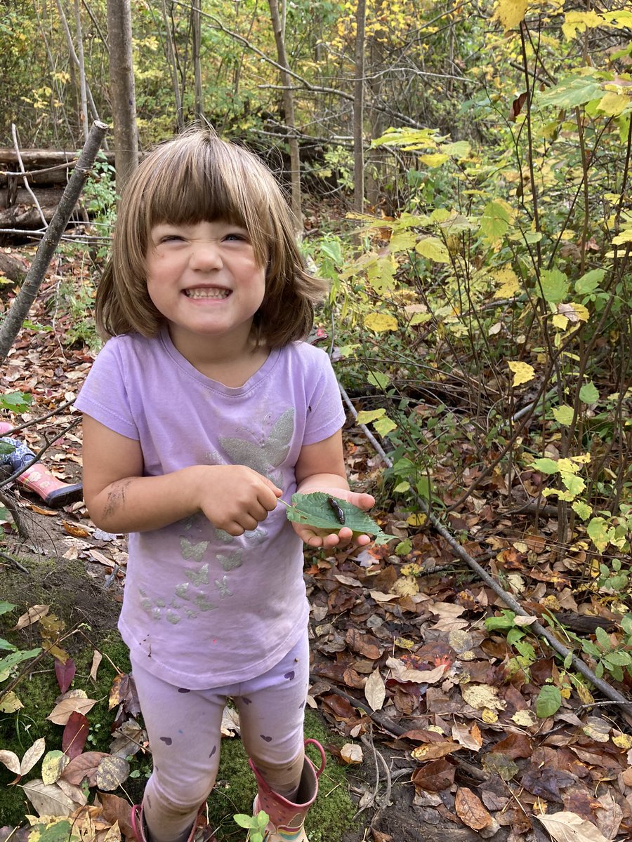 MissVictoria tweet media