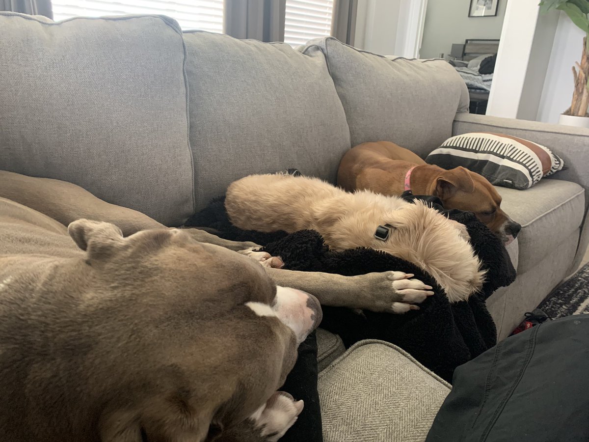 FYAPhoenix's tweet image. Coworkers getting it in!
We will soon start a new journey with a new company, but the office looks will be the same.
#NewMoves
#SameLocation
#DogsofTwittter