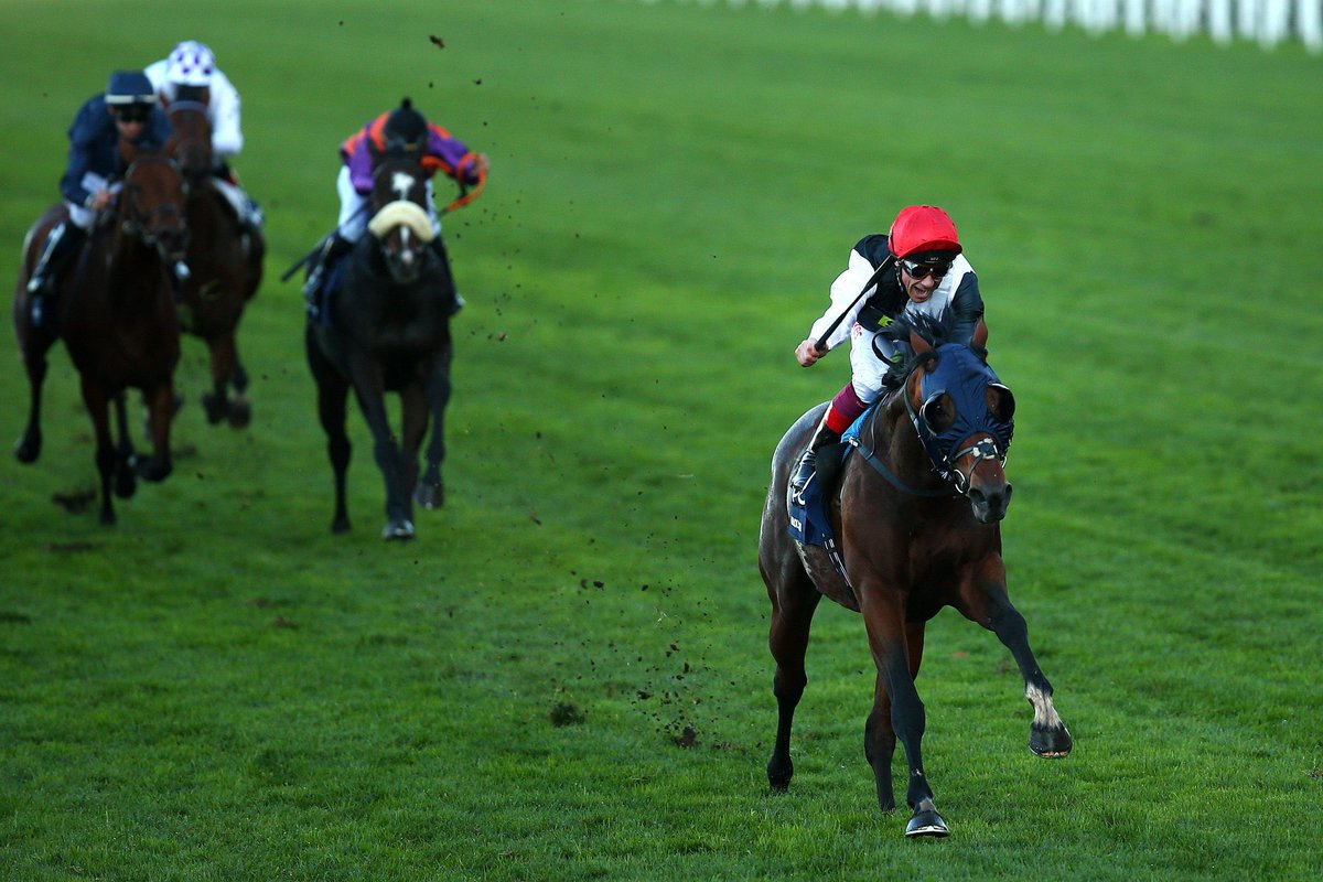 At The Races tweet media