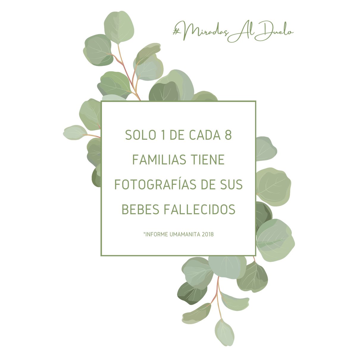 Todos y todas las hijas merecen ser fotografiados y que la familia guarde su recuerdo en una imagen

#InFormadosEnDuelo 

#MiradasAlDuelo