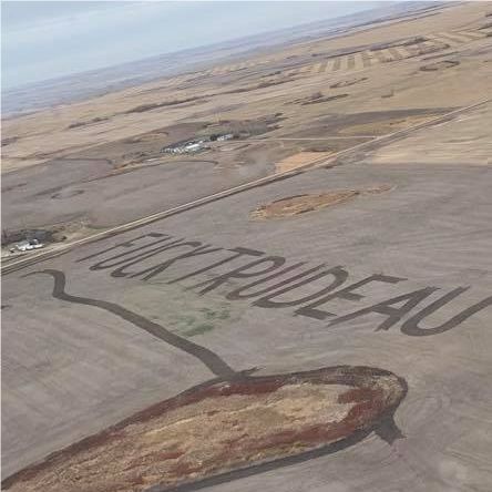 Happy Friday Alberta!