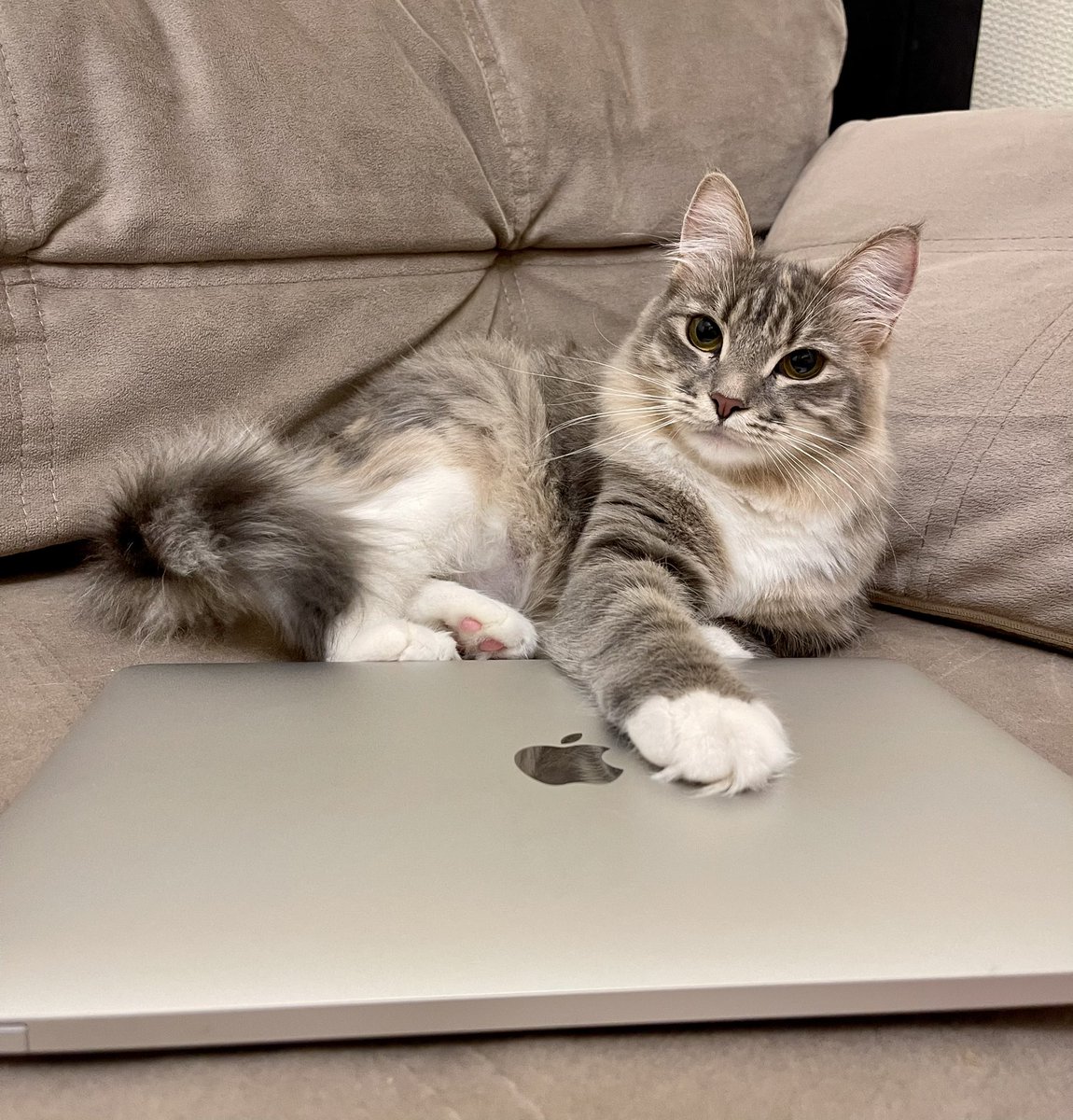 Ну все, теперь можно и в Starbucks!

<a href="/Fuck_ner/">farhadner</a> спасибо за помощь при выборе 🍎