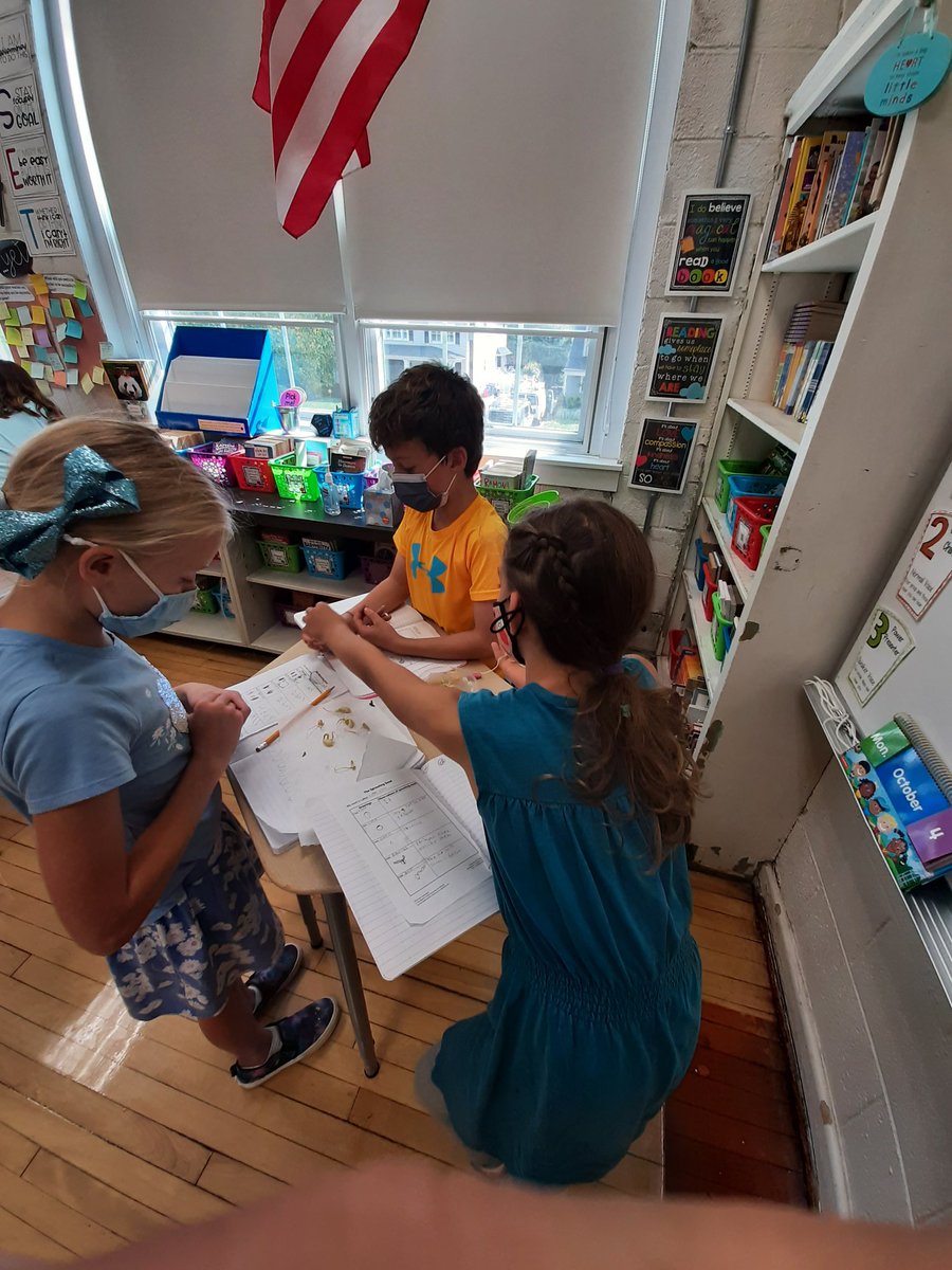 3YLizzyHaddon's tweet photo. Our Science seed study unit was so much fun!  Who knew seeds only needed water to grow so big so fast? https://t.co/f7bsMrTlIw