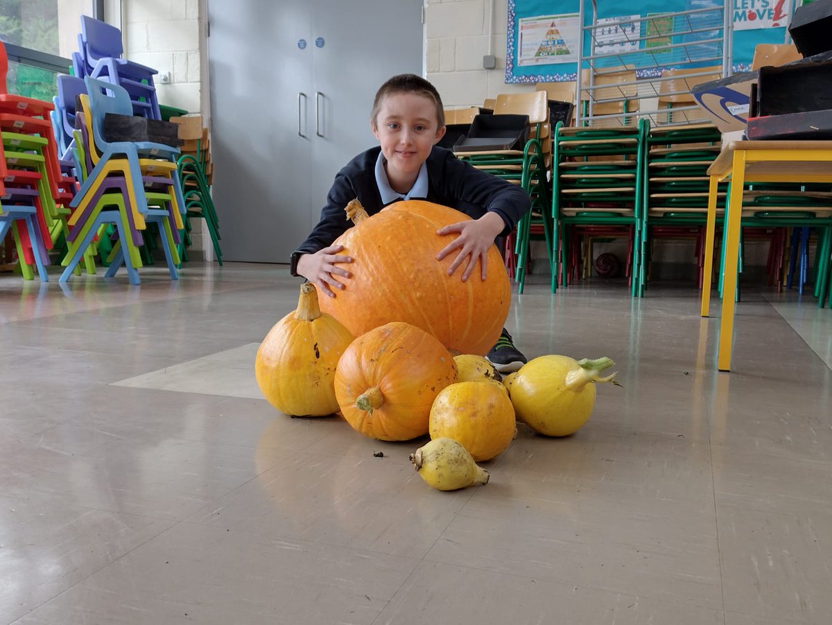 BorrisNS's tweet photo. Look at the size of that pumpkin! https://t.co/H7dV0HPxIG
