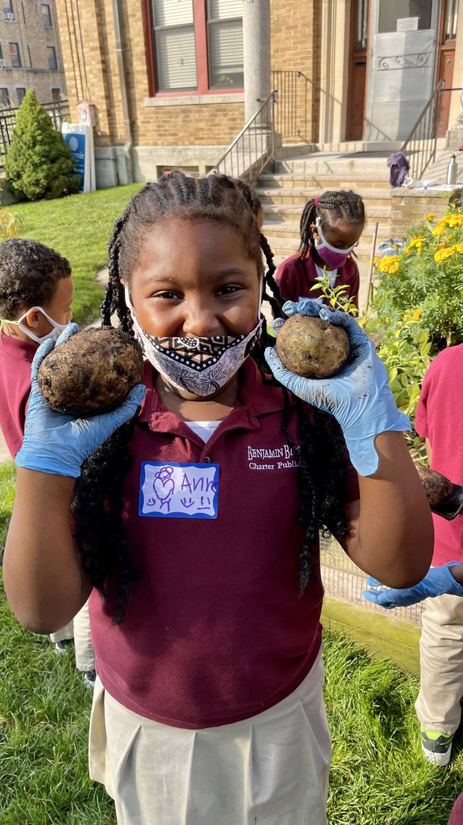 MsHoneymanBBCPS's tweet photo. We harvested potatoes in the garden today! 🥔🥔🥔 @bbcps @GCGrowers https://t.co/e2UXeGKd4G