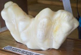 life_pinoy's tweet image. هل تعلم بأنه تم العثور على أكبر لؤلؤة في العالم في جزيرة بالاوان (الفلبين)، ويعتقد أن اللؤلؤة التي يبلغ وزنها 14 رطلاً، يزيد عمرها عن 600 عام، وتقدر قيمتها بأكثر من 40 مليون دولار.

الجدير بالذكر! أن صياداً كان يحتفظ بها لمدة 10 سنوات تحت السرير، معتقداً أنها تجلب له الحظ !