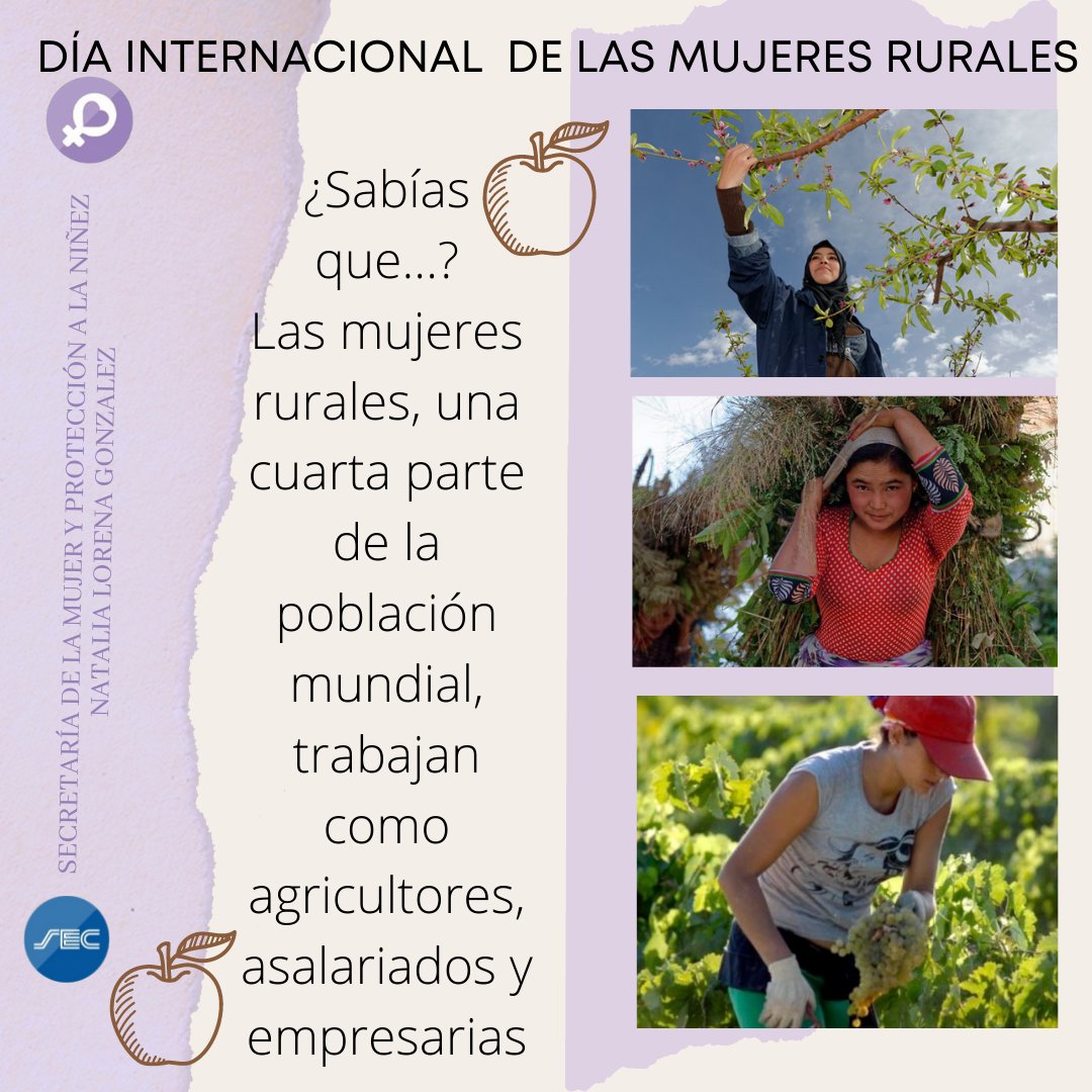 "DIA INTERNACIONAL DE LAS MUJERES RURALES "
#SoySec 
#SoyComercio 
#SoyMujerSec 
#SECCABA 
Armando Cavalieri 
Carlos Perez 
Natalia Gonzalez
