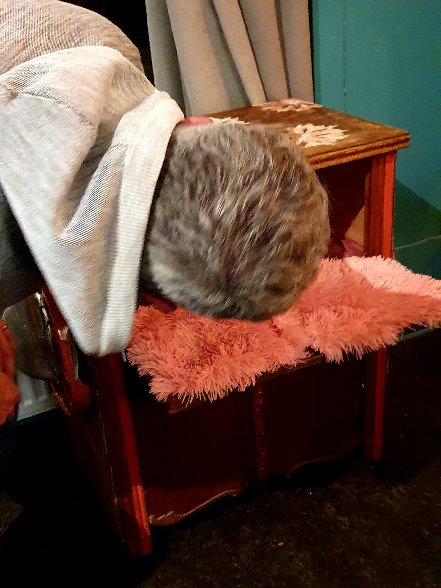 Nog even voor wie #DDW21 bezoekt, vergeet Debut in De Buut niet (gratis locatie)  ddw.nl/nl/programma/6… 
Jeroen heeft alvast 'onze kast' geïnspecteerd. En voor de oplettende kijker; Inderdaad, dat roze-klep-kast-design is natuurlijk op zijn haar geïnspireerd