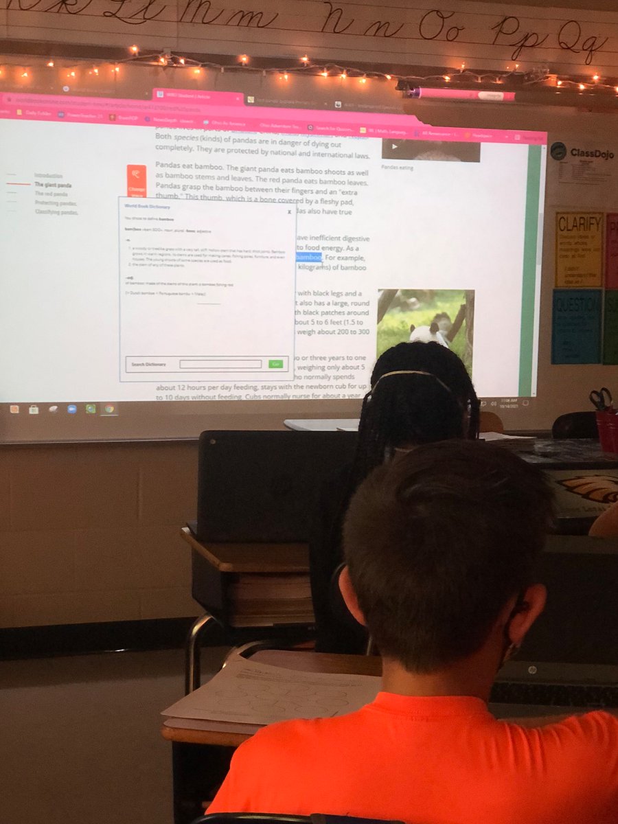 gonzalezkellym's tweet photo. From archelon to axolotl, great online research🔎& https://t.co/zX9ryxBU1S yesterday in Mrs. O’Hara & Mrs. Tuck’s classes! S/O to our bright💡kiddo who found the highlight+double-click definition feature in #worldbookonline! #GaleInContextElementary #INFOhioWorks #AlwaysLearning https://t.co/fsI8q2SACj