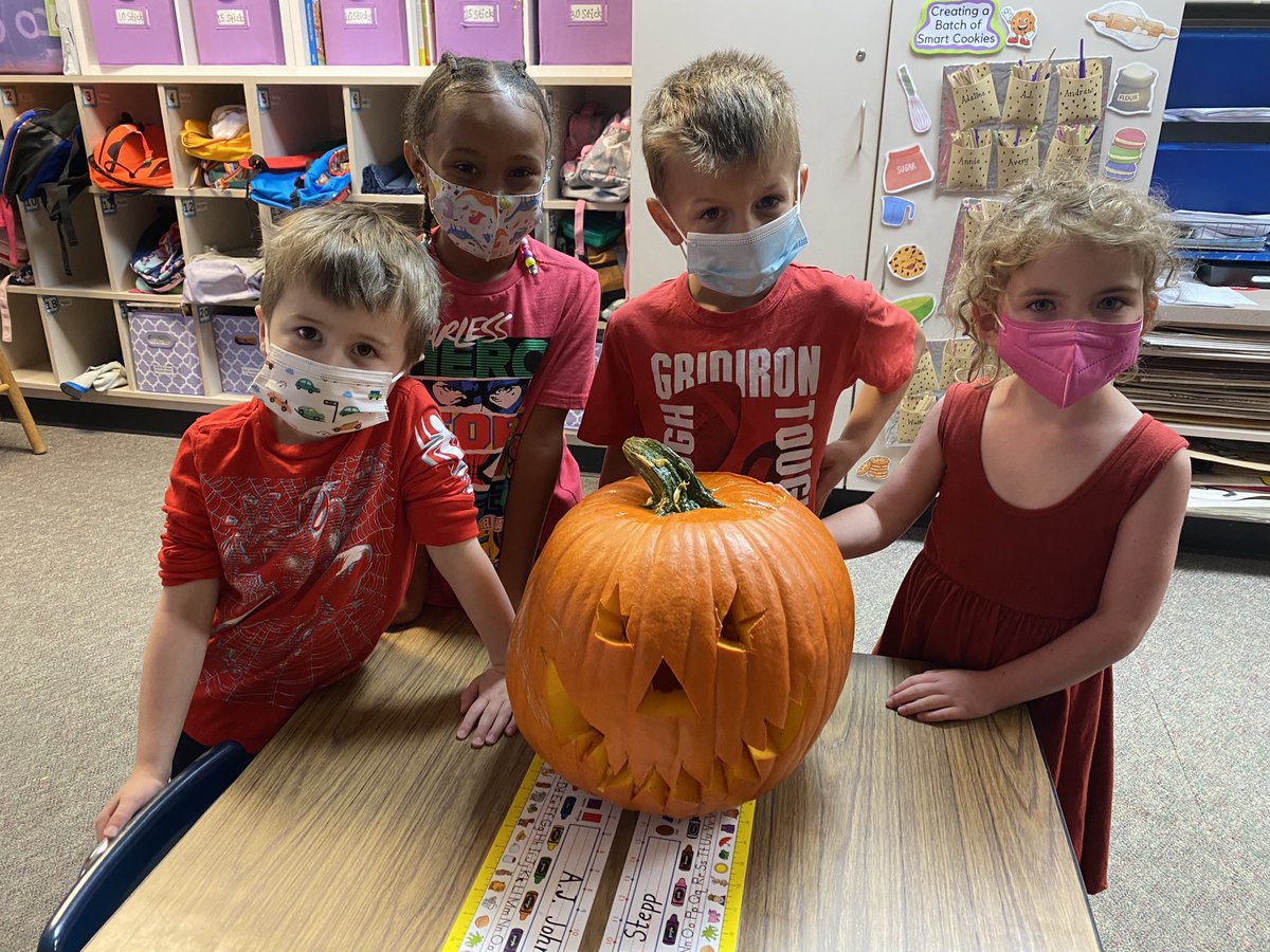 dcwmains's tweet photo. Hands On Pumpkin Fun! Today we explored the inside of a pumpkin. What a fun mess! @hescubcats #pumpkinsciencefun https://t.co/o9OsriZYFA