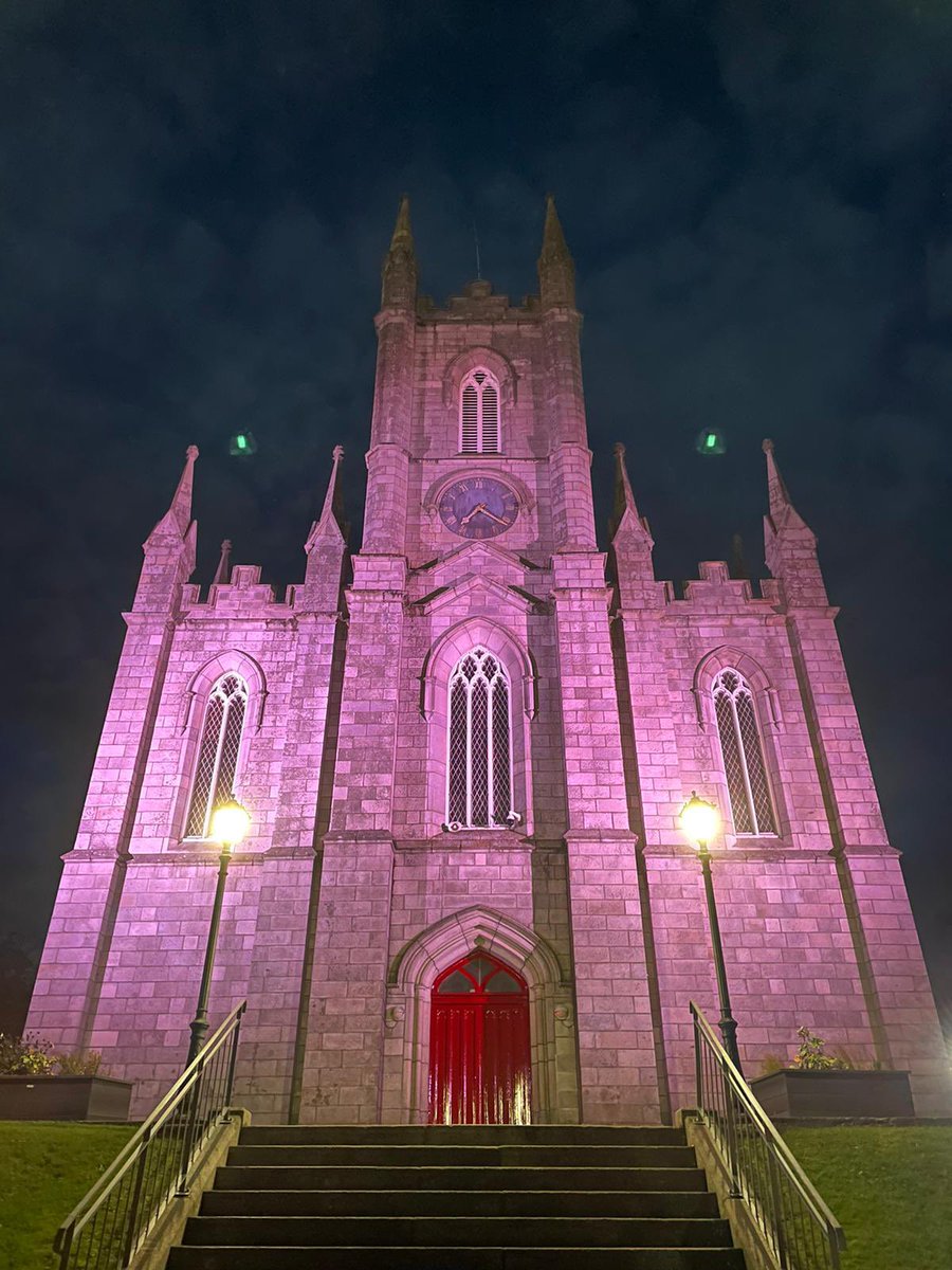 St. Patrick’s church in Wicklow glowing purple for DLD day! 💜💛💜 Big thank you to @wicklowcoco for their support #ThinkLanguage #ThinkDLD @RADLDcam @iaslt