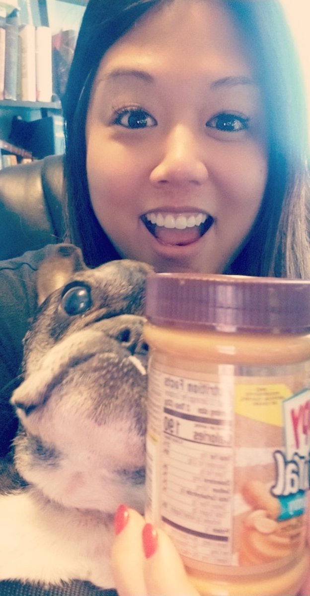 tonibaby_'s tweet photo. My sweet boy Gus went to sleep forever today. One of my favorite things about him is every new place we'd go to he'd go ninja poop in a random room in a house within minutes of being there. My sweet sweet boy. All my love. https://t.co/ogj5i2kTop